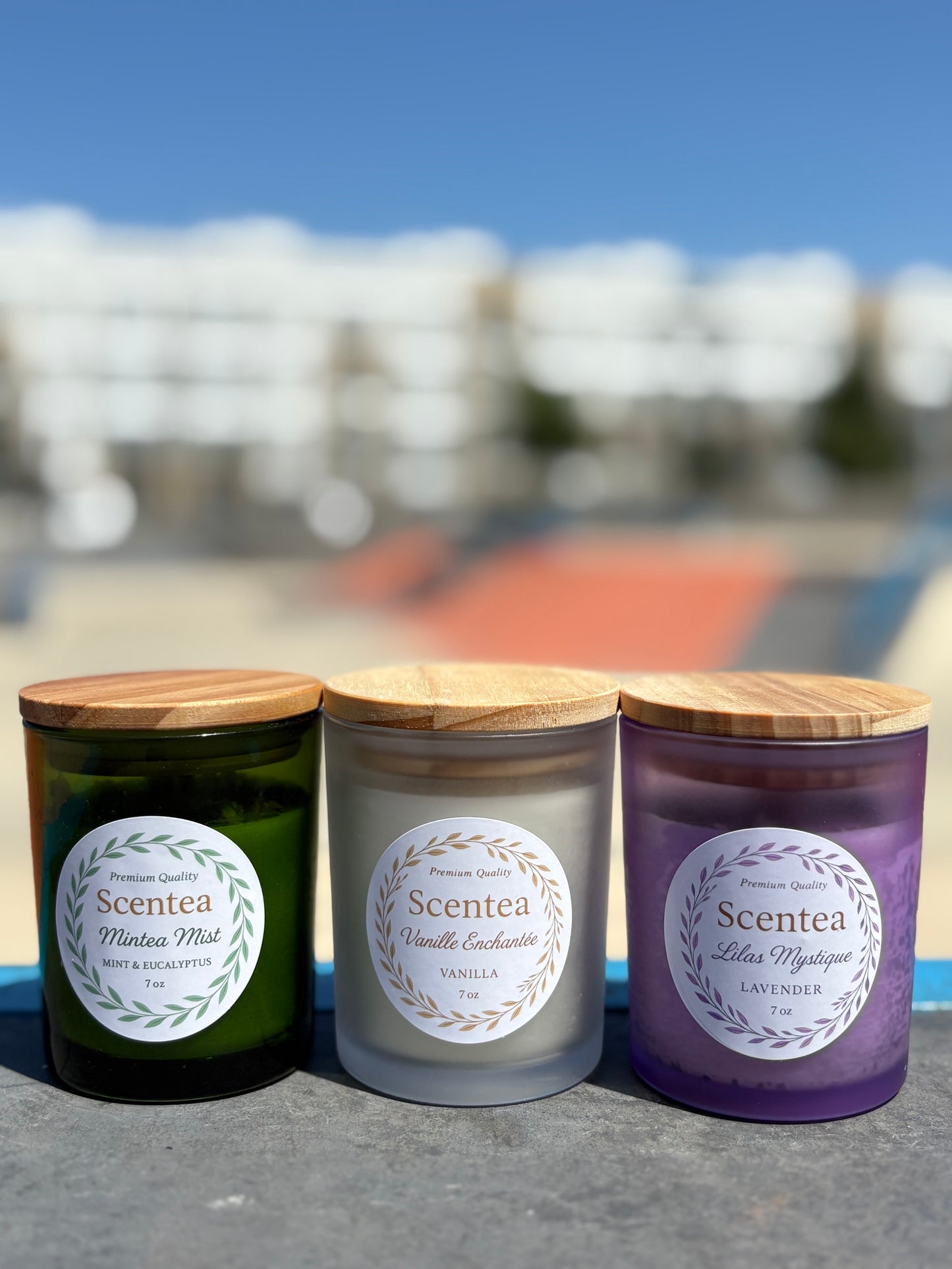 Scentea Signature Candle Bundle – Complete Scent Collection